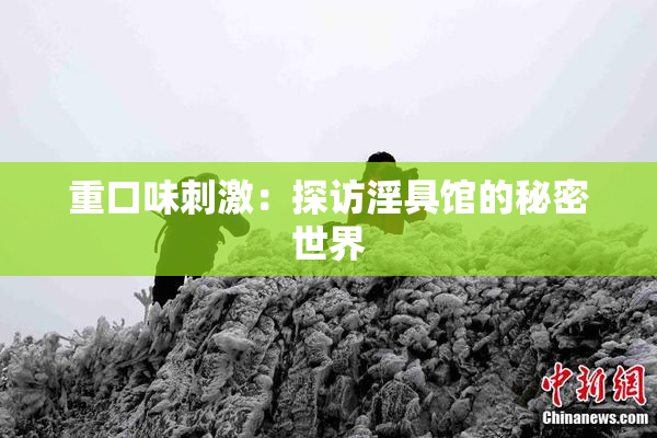 重口味刺激：探访淫具馆的秘密世界