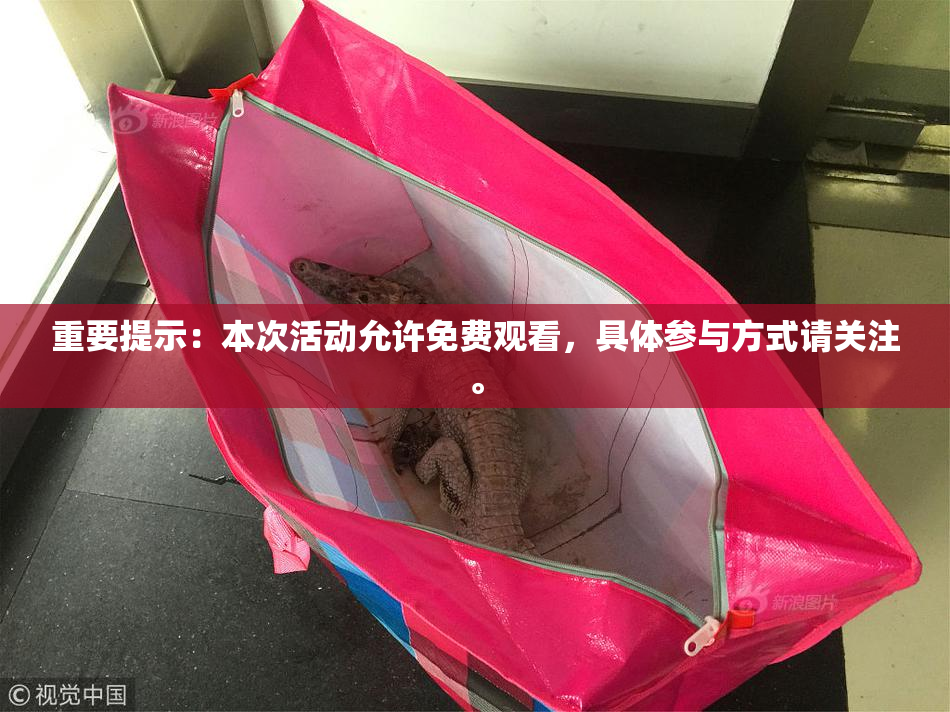 重要提示：本次活动允许免费观看，具体参与方式请关注。