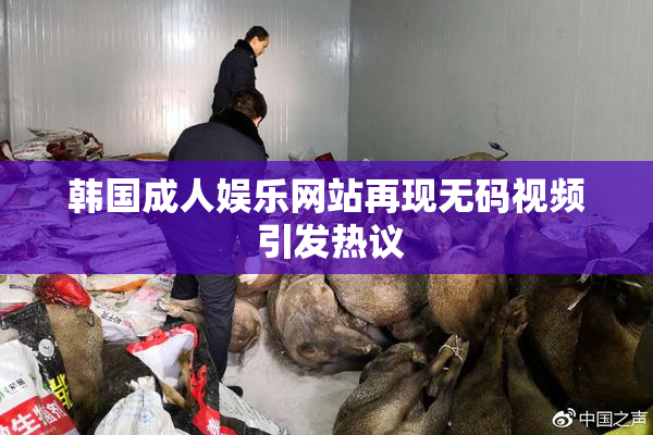 韩国成人娱乐网站再现无码视频 引发热议