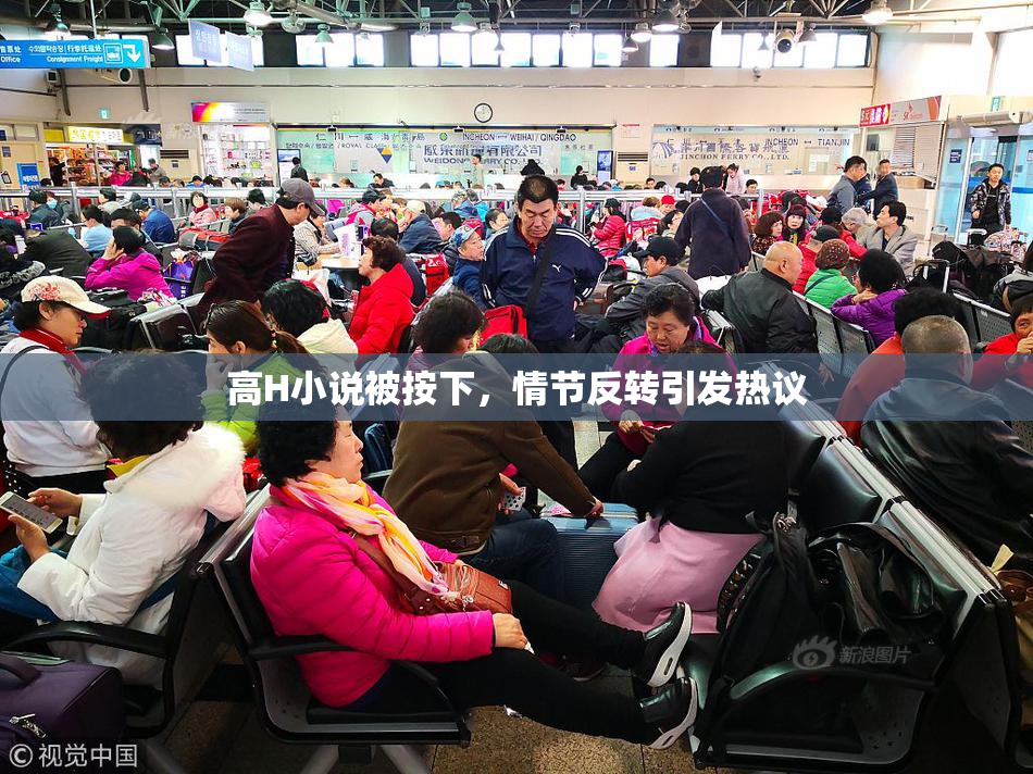 高H小说被按下，情节反转引发热议