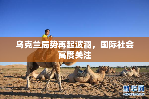 乌克兰局势再起波澜，国际社会高度关注