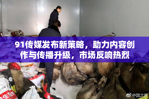 91传媒发布新策略，助力内容创作与传播升级，市场反响热烈