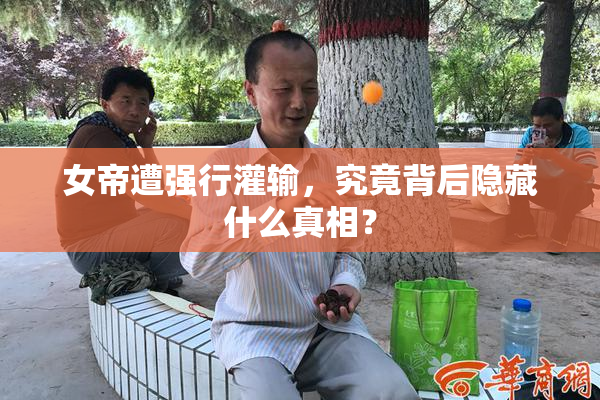 女帝遭强行灌输，究竟背后隐藏什么真相？