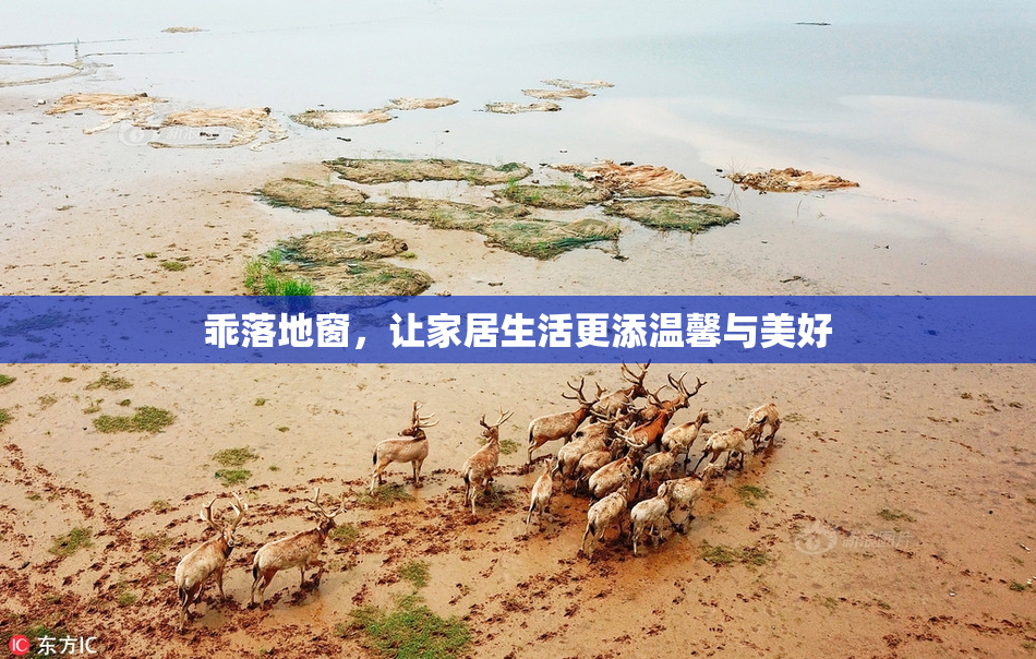 乖落地窗，让家居生活更添温馨与美好