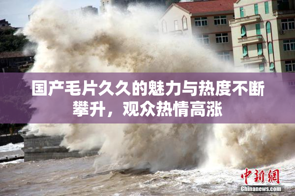 国产毛片久久的魅力与热度不断攀升，观众热情高涨