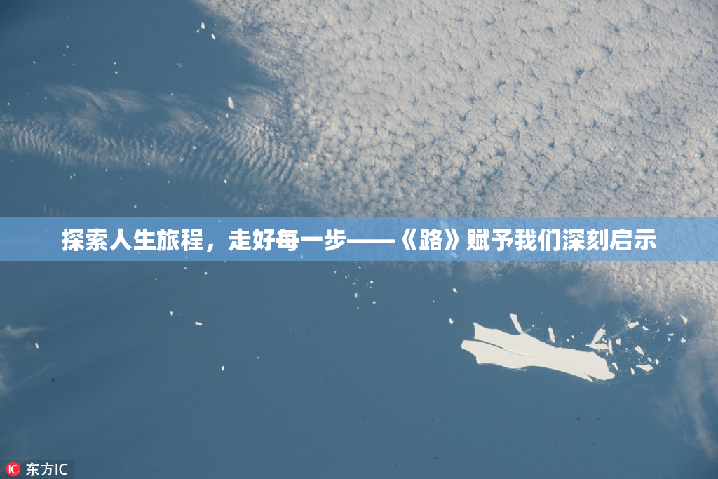 探索人生旅程，走好每一步——《路》赋予我们深刻启示