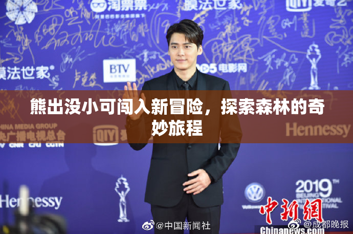 熊出没小可闯入新冒险，探索森林的奇妙旅程