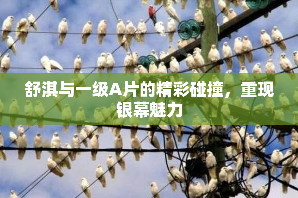 舒淇与一级A片的精彩碰撞，重现银幕魅力