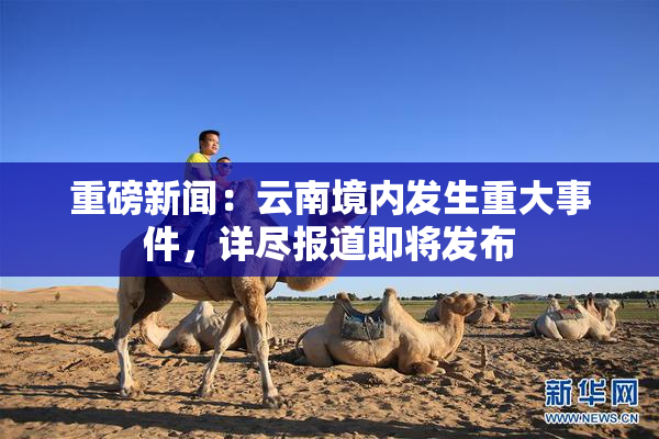 重磅新闻：云南境内发生重大事件，详尽报道即将发布