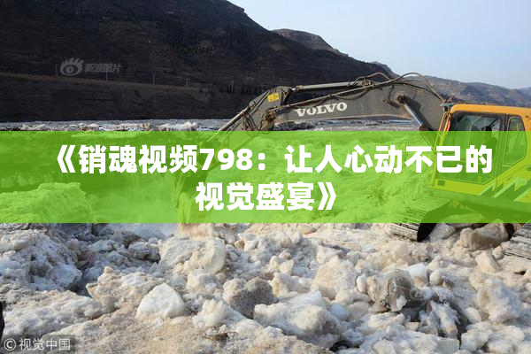 《销魂视频798：让人心动不已的视觉盛宴》