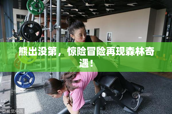 熊出没第，惊险冒险再现森林奇遇！