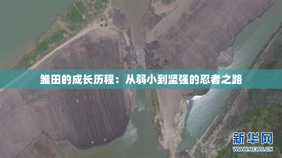 雏田的成长历程：从弱小到坚强的忍者之路