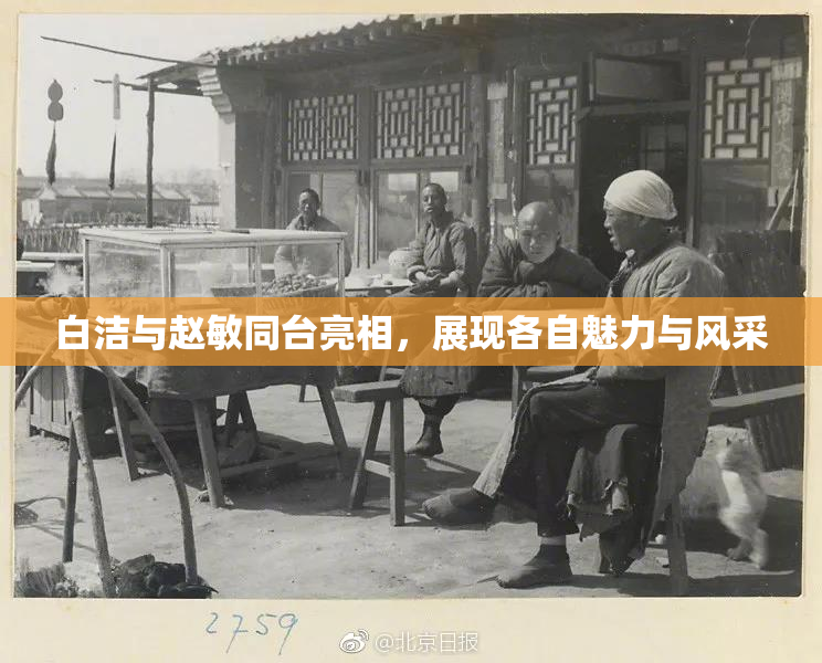 白洁与赵敏同台亮相，展现各自魅力与风采