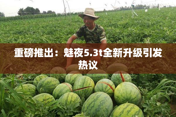 重磅推出：魅夜5.3t全新升级引发热议