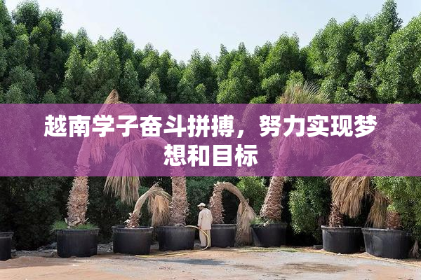 越南学子奋斗拼搏，努力实现梦想和目标