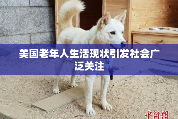 美国老年人生活现状引发社会广泛关注