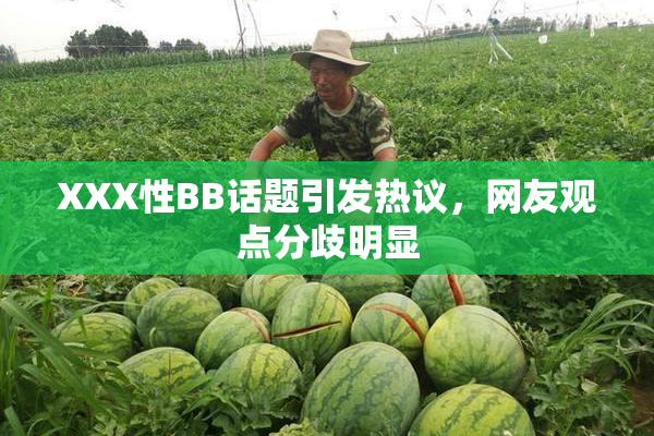 XXX性BB话题引发热议，网友观点分歧明显