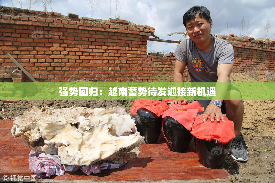 强势回归：越南蓄势待发迎接新机遇