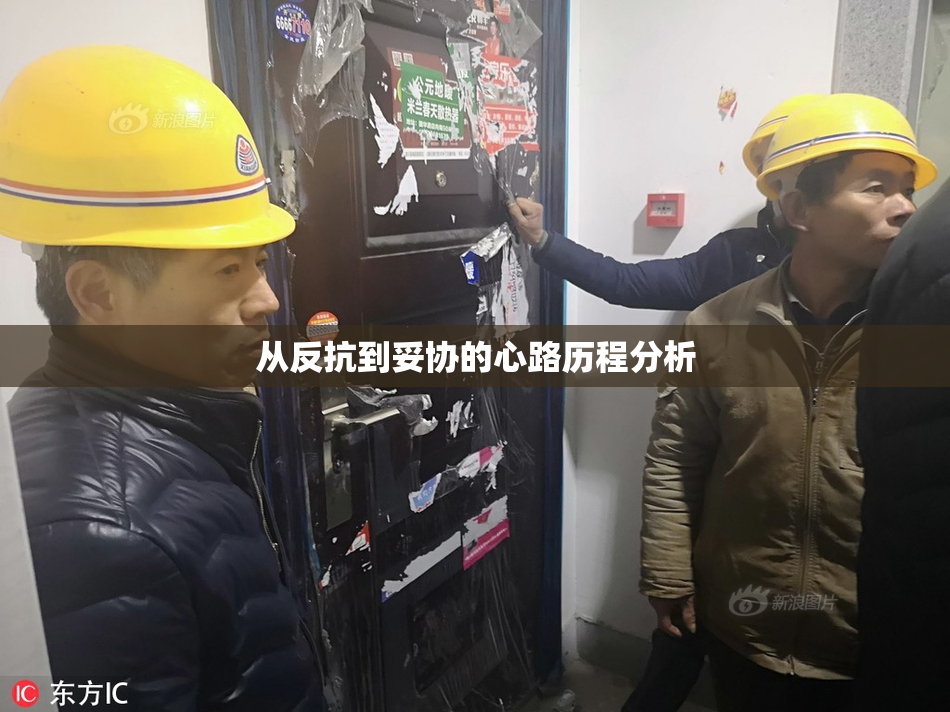 从反抗到妥协的心路历程分析