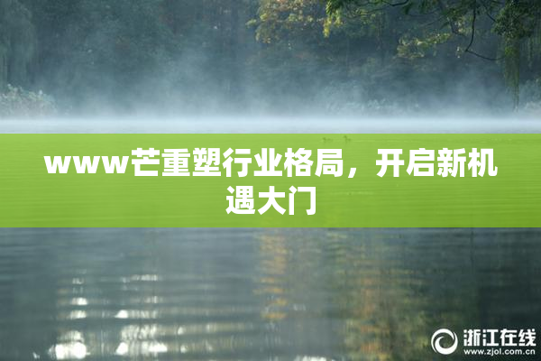 www芒重塑行业格局，开启新机遇大门