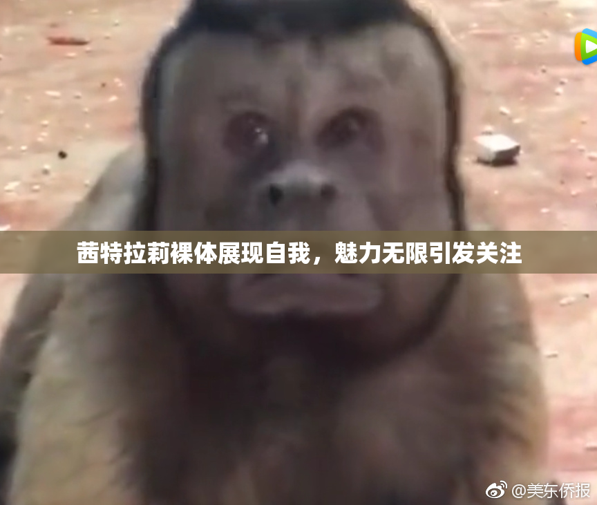 茜特拉莉裸体展现自我，魅力无限引发关注