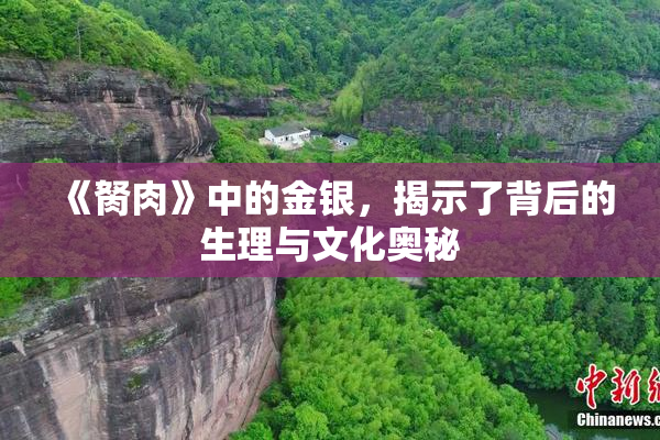 《胬肉》中的金银，揭示了背后的生理与文化奥秘