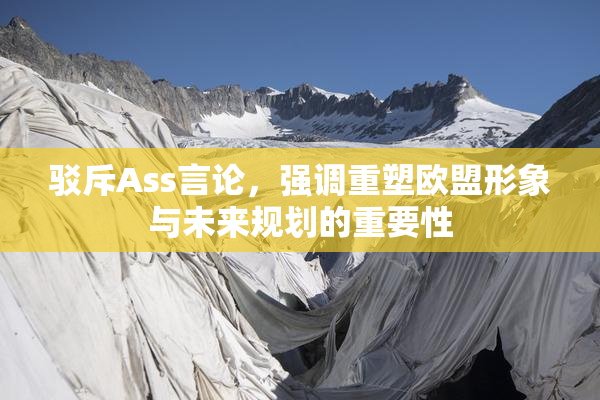 驳斥Ass言论，强调重塑欧盟形象与未来规划的重要性