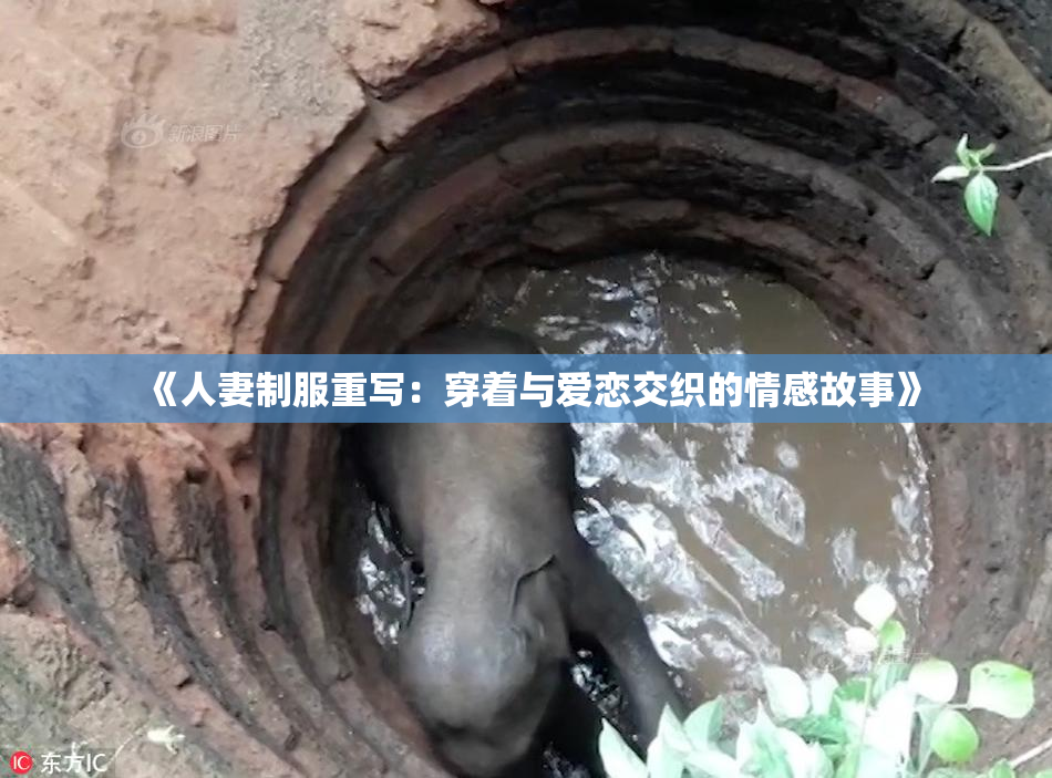 《人妻制服重写：穿着与爱恋交织的情感故事》