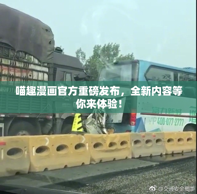 喵趣漫画官方重磅发布，全新内容等你来体验！
