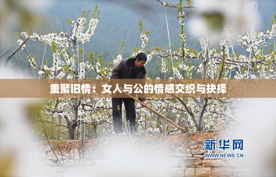 重聚旧情：女人与公的情感交织与抉择