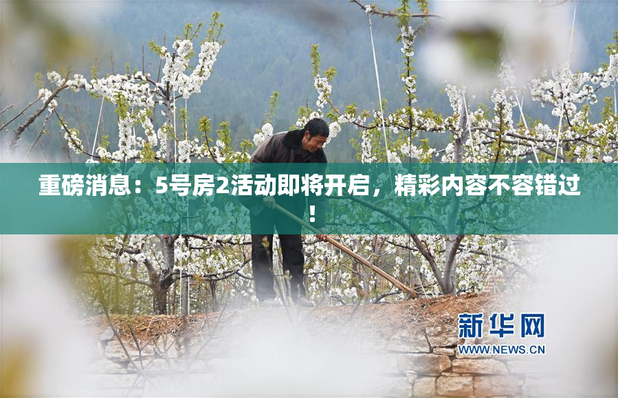 重磅消息：5号房2活动即将开启，精彩内容不容错过！
