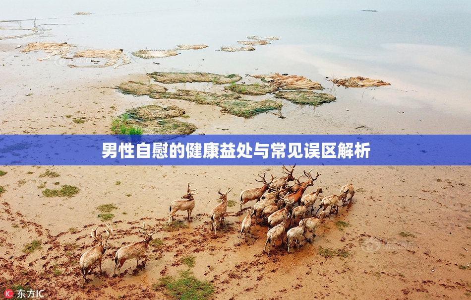男性自慰的健康益处与常见误区解析