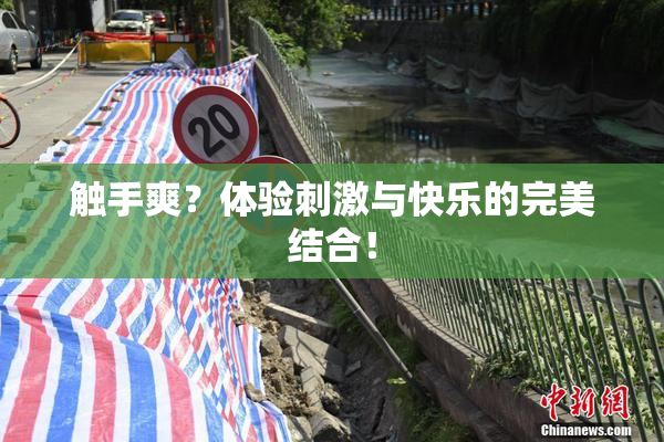 触手爽？体验刺激与快乐的完美结合！