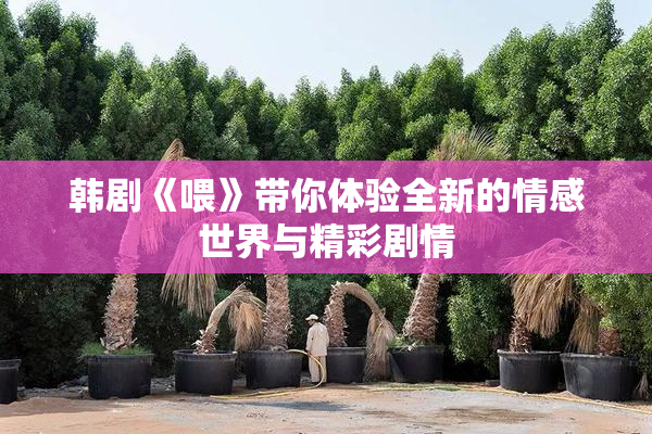 韩剧《喂》带你体验全新的情感世界与精彩剧情