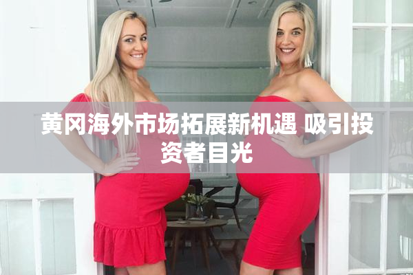 黄冈海外市场拓展新机遇 吸引投资者目光