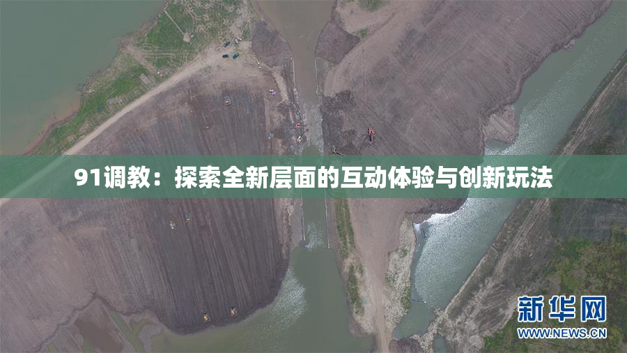 91调教：探索全新层面的互动体验与创新玩法