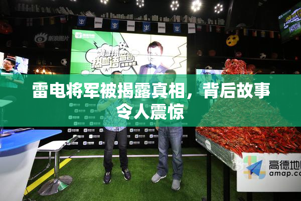 雷电将军被揭露真相，背后故事令人震惊