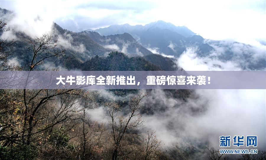 大牛影库全新推出，重磅惊喜来袭！