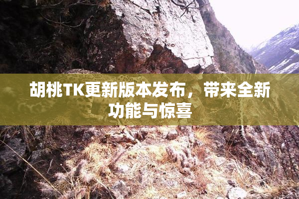 胡桃TK更新版本发布，带来全新功能与惊喜