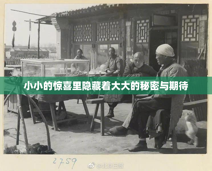 小小的惊喜里隐藏着大大的秘密与期待