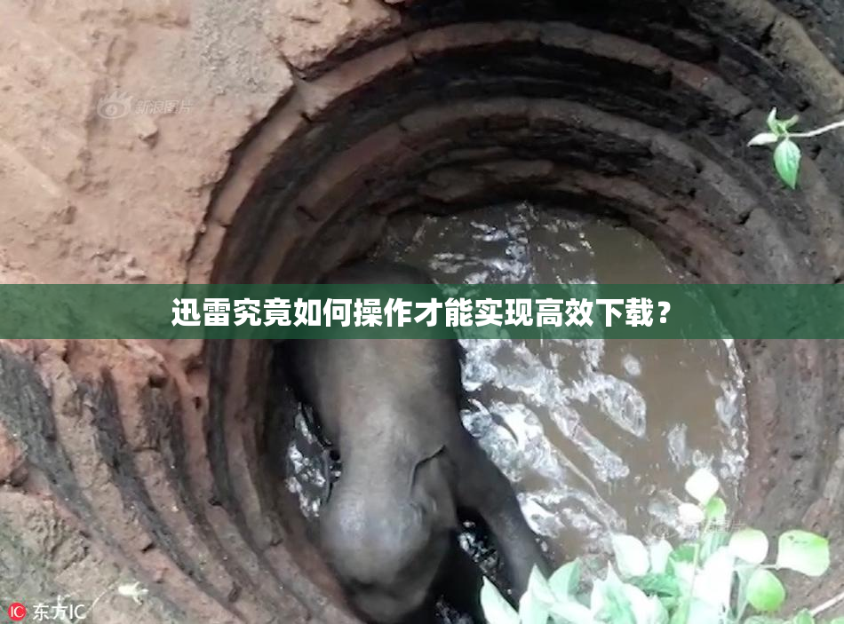 迅雷究竟如何操作才能实现高效下载？