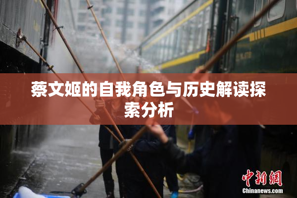 蔡文姬的自我角色与历史解读探索分析