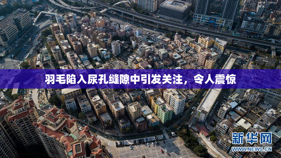羽毛陷入尿孔缝隙中引发关注，令人震惊