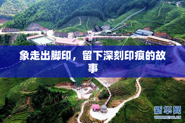 象走出脚印，留下深刻印痕的故事