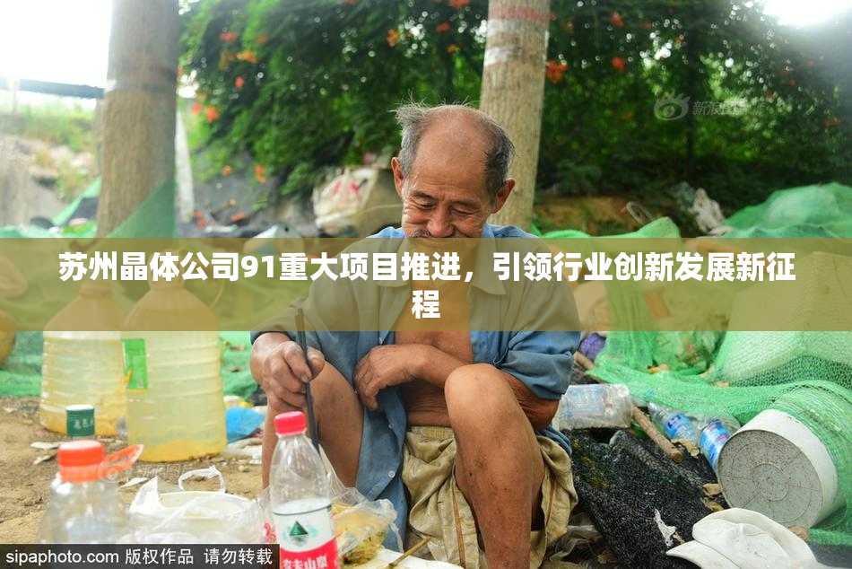 苏州晶体公司91重大项目推进，引领行业创新发展新征程
