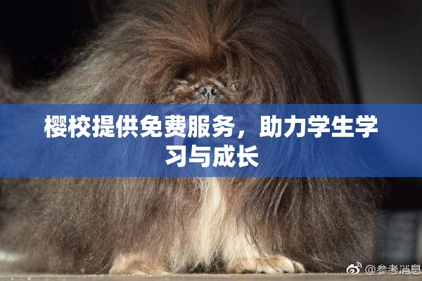 樱校提供免费服务，助力学生学习与成长