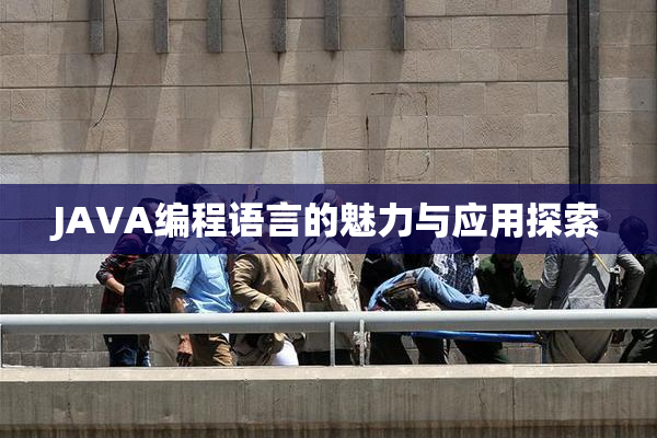 JAVA编程语言的魅力与应用探索