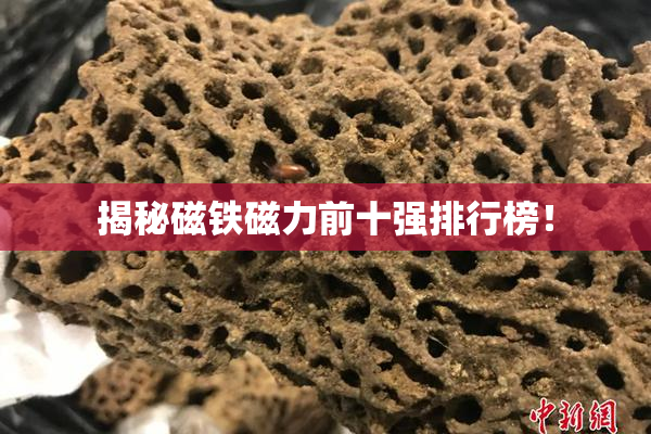 揭秘磁铁磁力前十强排行榜！