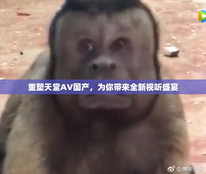 重塑天堂AV国产，为你带来全新视听盛宴