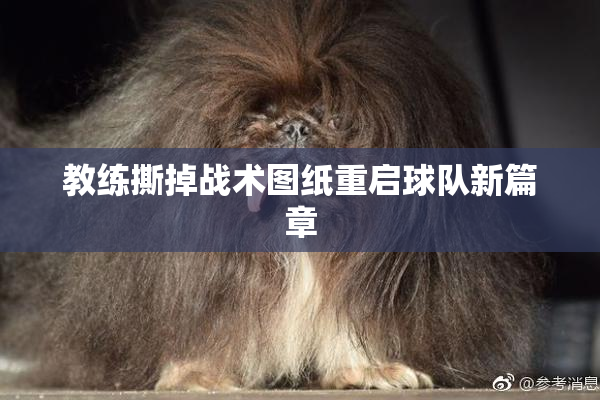 教练撕掉战术图纸重启球队新篇章
